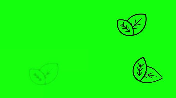 透明黑色生态叶子素食自然图标纯绿屏幕10动画色度键