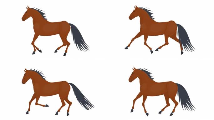 马。奔跑的马的动画。卡通