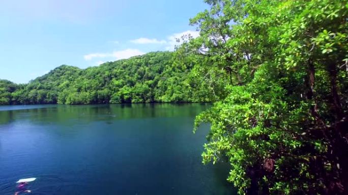 水母湖。帕劳,密克罗尼西亚。