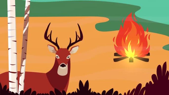 你好秋季动画与野生驯鹿和篝火森林场景