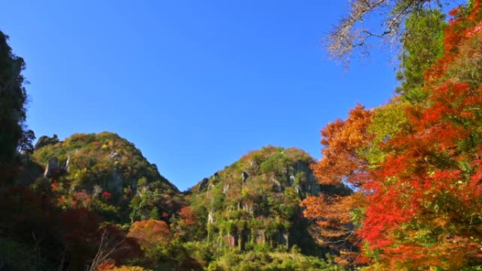 新亚坝峡谷的秋叶。日本大分县Yabakei。