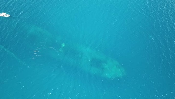 特鲁克潟湖著名沉船藤川丸