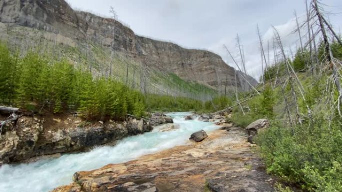 加拿大不列颠哥伦比亚省大理石峡谷的库特尼河瀑布
