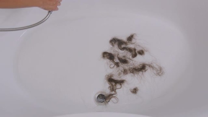 。洗完后头发松弛躺在浴缸里。脱发问题。