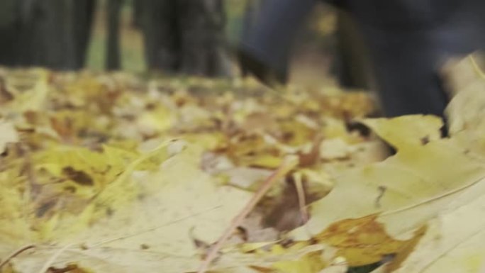 黑色的靴子踩在散落着黄色落叶的草地上。秋天开始了。
