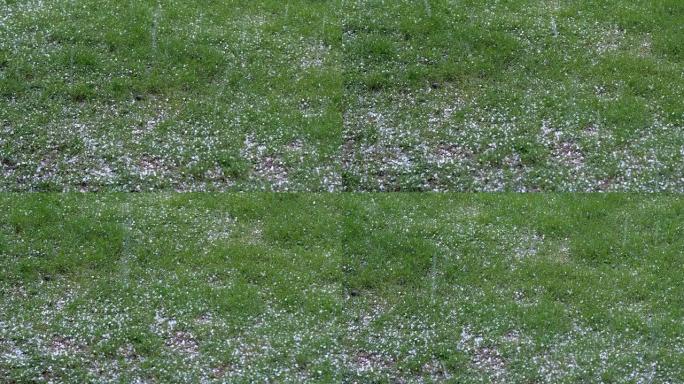 在阴天的夏天，在绿色的草地上落下冰雹。暴风雨来了。