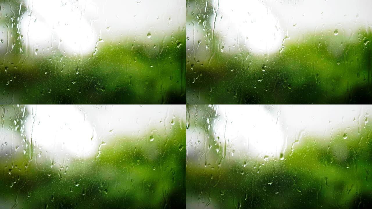 雨滴在窗户上，绿树在窗外。雨滴一扇窗户的抽象视图。