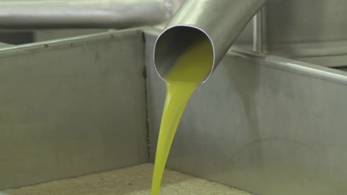 橄榄油在接受者中下降-生产特级初榨橄榄油