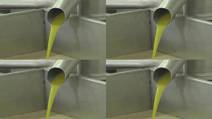橄榄油在接受者中下降-生产特级初榨橄榄油