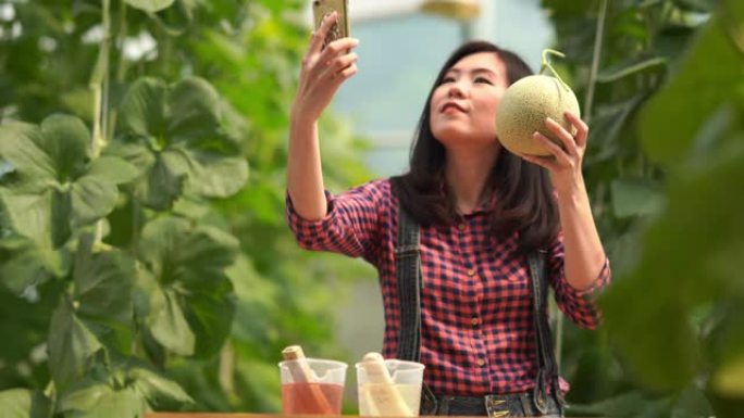 在oganic蔬菜农场工作的亚洲年轻女农民，转基因食品，生物食品概念，使用智能手机进行电子商务