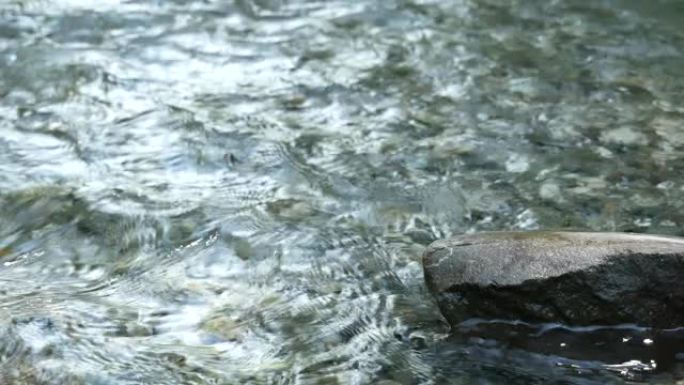 水流在岩石之间流入森林。