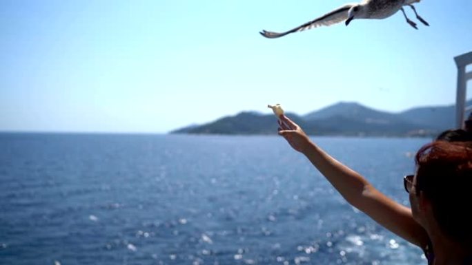 在渡轮上喂养海鸥的年轻女子