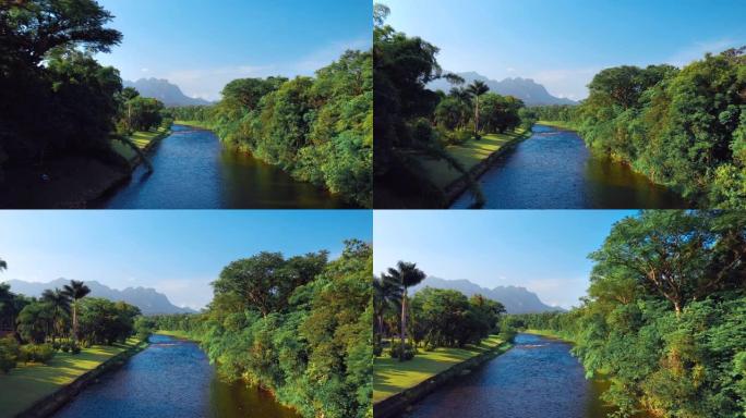 热带绿色森林中的巴西河，背景是山