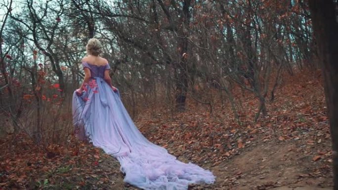 公主穿着紫色连衣裙，坐长途火车。害怕，迷失在森林里。