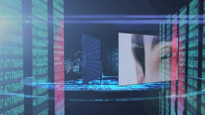 针对网络安全数据处理的人手和眼睛扫描