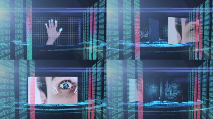 针对网络安全数据处理的人手和眼睛扫描