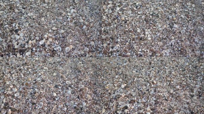 海边的海沙由许多小贝壳制成。全高清视频运动