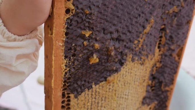 女养蜂人解开蜂窝。一把特写刀在蜂巢制成的框架上打开带有蜂蜜的蜂窝。