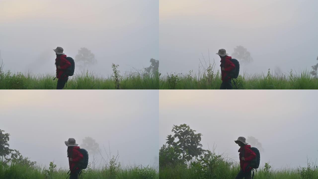 晨间旅行雾