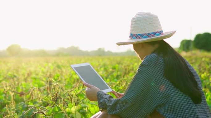 亚洲女农场主用数字平板电脑检查阳光明媚的树苗