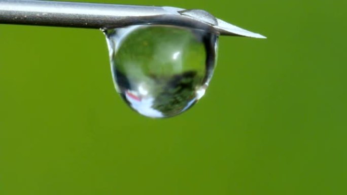 注射器尖端的生理盐水疫苗滴