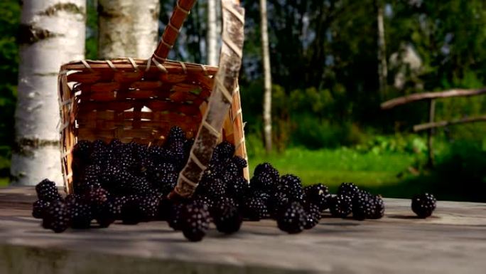 黑莓从篮子里落在木桌上