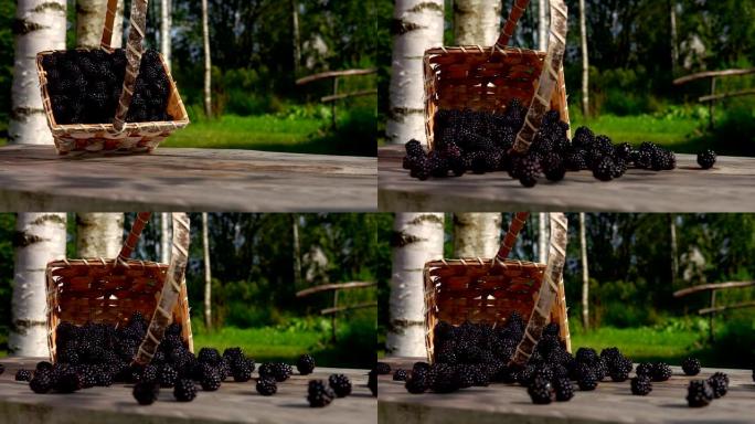 黑莓从篮子里落在木桌上
