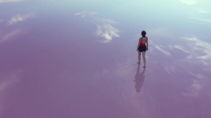 在乌克兰粉红色盐湖上行走的妇女的风景鸟瞰图