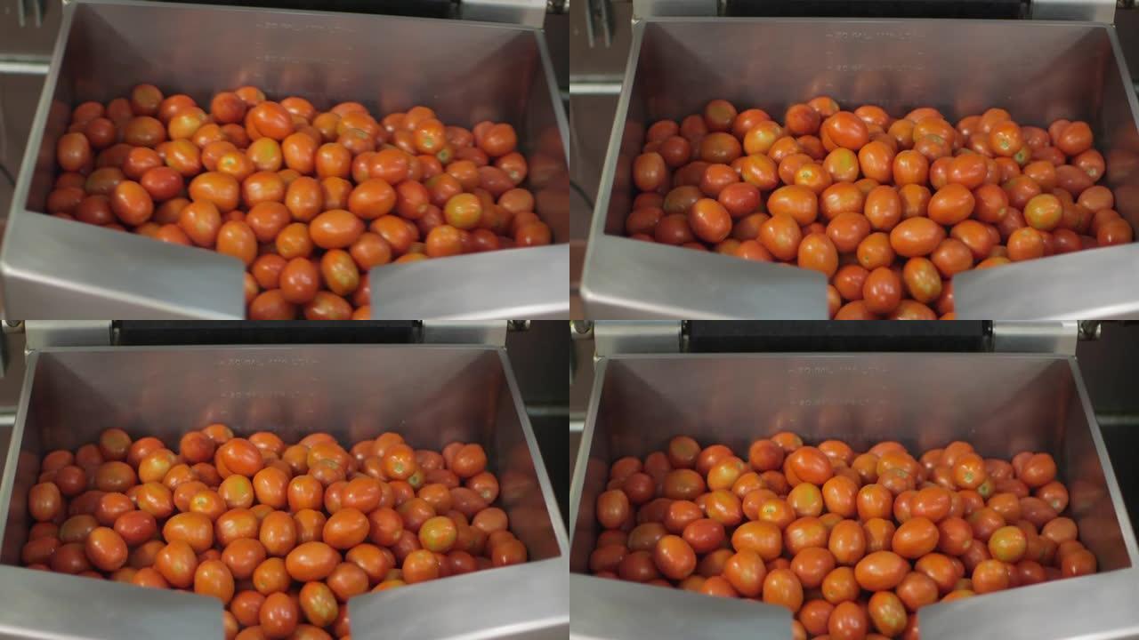 商用厨房食品制备-一盒西红柿