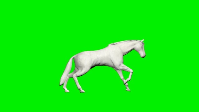 纸马跑跳，无缝循环，绿屏Chromakey
