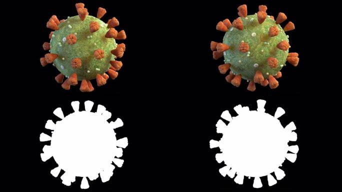 日冕病毒的3D动画