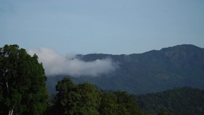 山和云高山峰森林海云海翻滚云雾