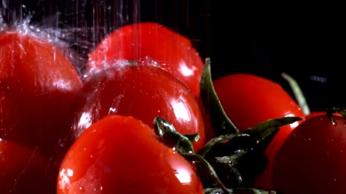 有机新鲜蔬菜番茄西红柿水果鲜果
