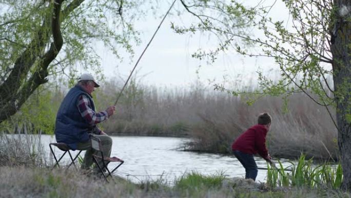 节日快乐，在温暖的日子里，老渔夫和小孙子在芦苇和树木之间的河中借助钓鱼竿钓到小鱼