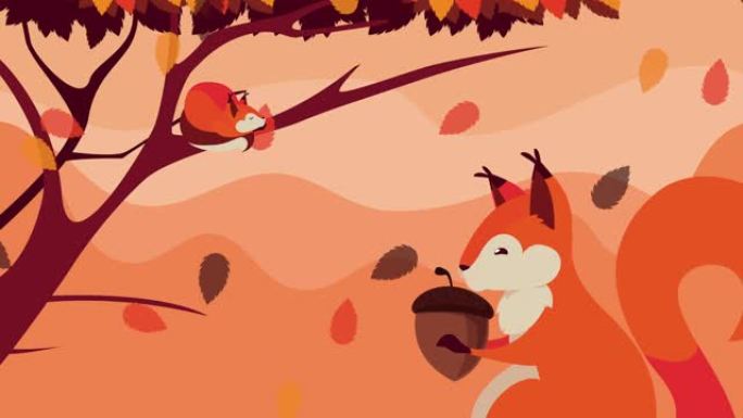 你好秋季动画与松鼠和坚果在森林场景