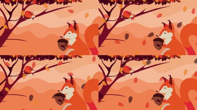 你好秋季动画与松鼠和坚果在森林场景