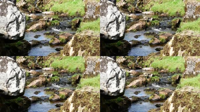 在苔藓覆盖的岩石上流动的小山流的静态建立镜头