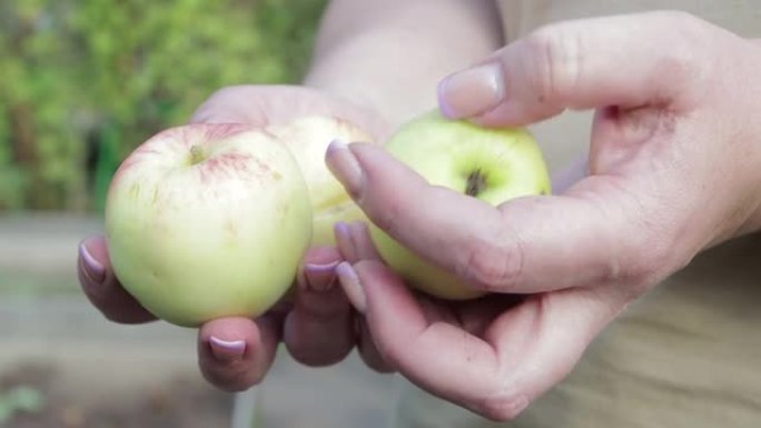 女人的手握三个苹果，用手指转动