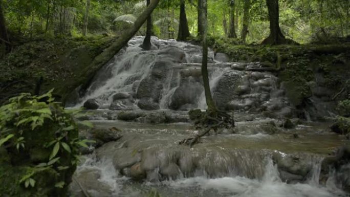 揭示淡水从梯级流穿过肥沃森林中的岩石的提升镜头。