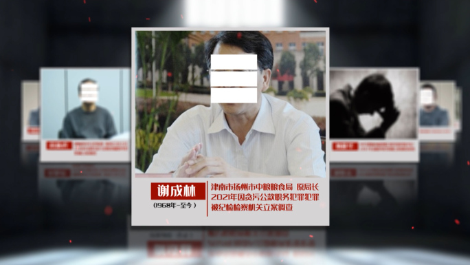 纪检 监察 反腐犯罪嫌疑人关系网AE模板