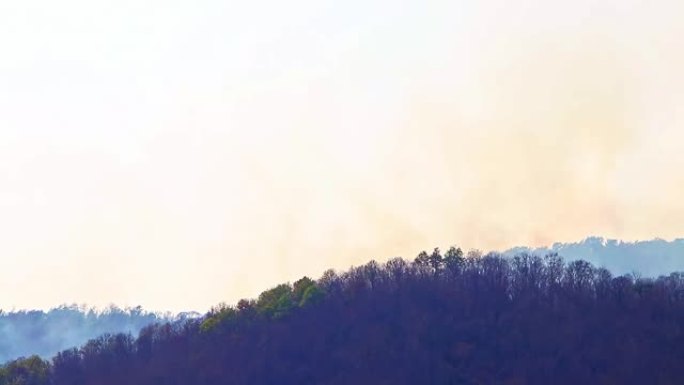 干旱期间山林大火和浓烟。森林砍伐和气候危机。雨林大火造成的有毒雾霾