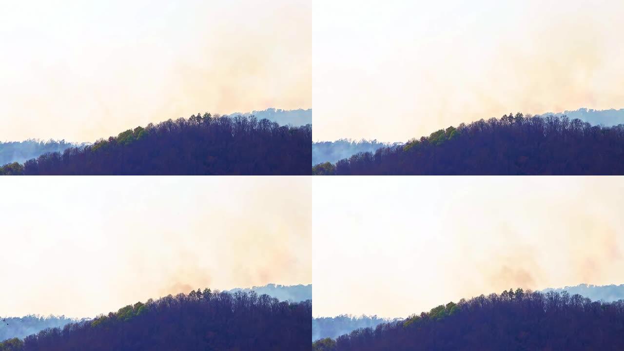 干旱期间山林大火和浓烟。森林砍伐和气候危机。雨林大火造成的有毒雾霾