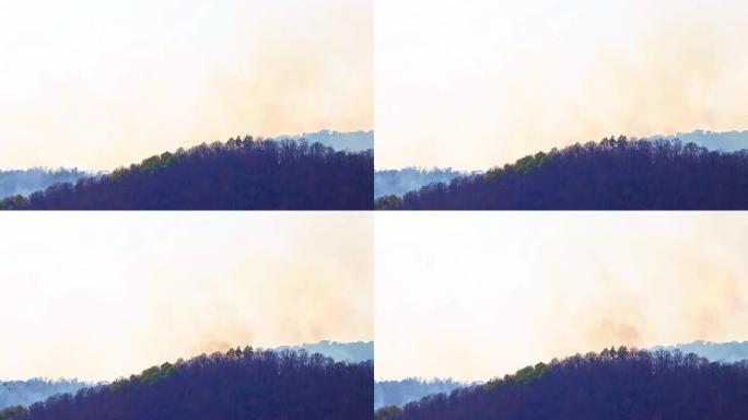 干旱期间山林大火和浓烟。森林砍伐和气候危机。雨林大火造成的有毒雾霾