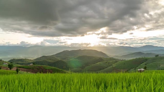 延时-稻田下雨的日落