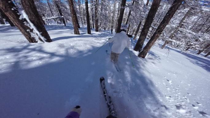 高速野雪粉雪跟拍4K