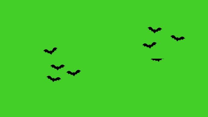 绿色背景上的万圣节黑色飞行蝙蝠动画