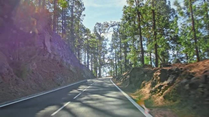 完美的柏油山路。新鲜油漆的道路标记。多岩石的路边，背景是绿色的针叶树。开车去山上旅行的概念。阳光眩光