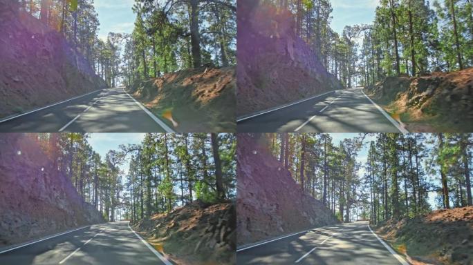 完美的柏油山路。新鲜油漆的道路标记。多岩石的路边，背景是绿色的针叶树。开车去山上旅行的概念。阳光眩光