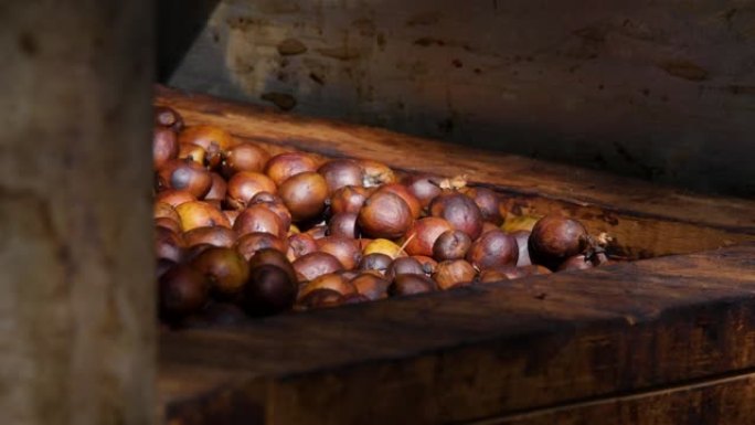 泰国的有机咖啡豆干燥