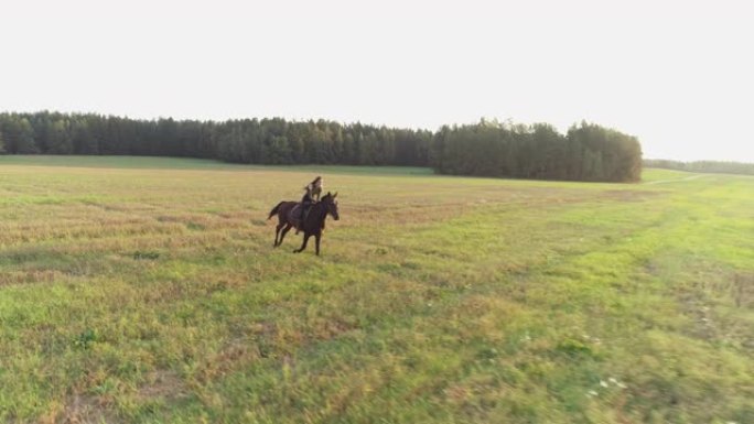 长发在风中飘扬的黑发女孩骑马。